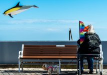 Orca Kite and Lady (1 of 1).jpg