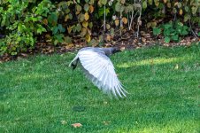 DSC_5024.jpg