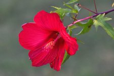 560_0034R_LN_cr_sm.jpg