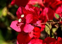 ROY_9286_01.jpg