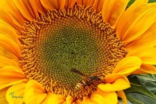 10-14-22-CR-_D503077-2022-10-14-194217_ -ON1.jpg