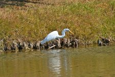 560_0163R_LCShCl_cr.jpg