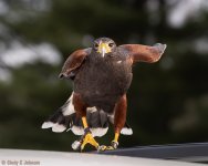 _5DX3683 low res.jpg