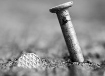 Two Nails 1 (1 of 1).jpg