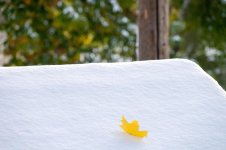 DSC_6639.jpg