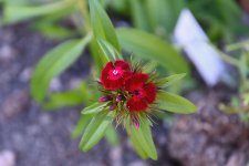 500_0220R_NSh_sm.jpg