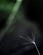 395679_10150479154183870_625938869_8845672_1205042248_n.jpg 395679_10150479154183870_625938869_8845672_1205042248_n.jpg