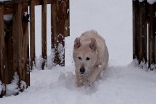 2013-03-06-1.jpg