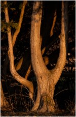_DSC2257-perfect-light.jpg