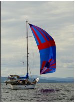 _DSC1364 sail away smaller.jpg