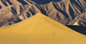 _DSC9296 dunes person.jpg