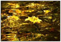 _DSC5566 water smaller.jpg