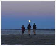 _DSC7580 moon watchers smaller.jpg