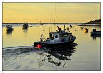 _DSC7725 boats smaller.jpg