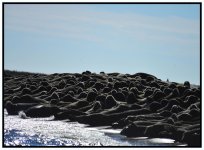 _DSC7805 seal of heads smaller.jpg