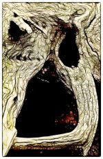 face 1 fract 2.jpg
