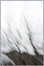 _DSC9562 abstrct smaller.jpg