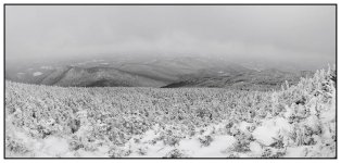 vt bw winterscene.jpg