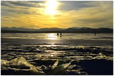 _DSC9956 ice walkers smalller.jpg
