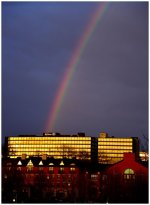 rainbow hilton.jpg rainbow hilton.jpg
