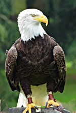 2014 08 27_0032_edited-1 copy.jpg