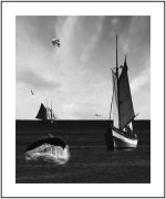 sailboats bw fun r cropped smaller.jpg