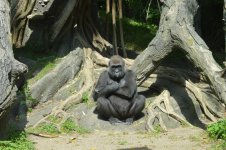 DSC_0044.jpg DSC_0044.jpg