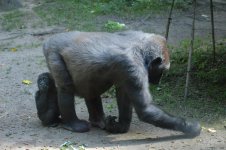 DSC_0048.jpg DSC_0048.jpg
