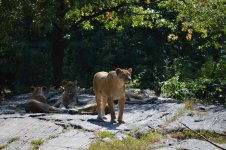 DSC_0186.jpg DSC_0186.jpg