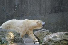 DSC_0211.jpg DSC_0211.jpg