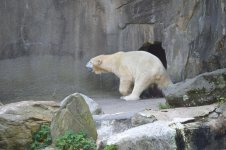 DSC_0221.jpg DSC_0221.jpg