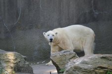 DSC_0224.jpg DSC_0224.jpg