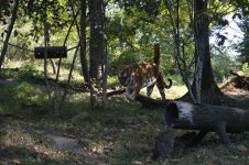 DSC_0237.jpg DSC_0237.jpg