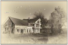 _DSC4808 old house2 with birds smaller.jpg