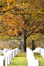 _DSC5074 fall amoung the graves smaller.jpg