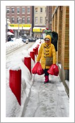 _DSC8157 shopper smaller.jpg