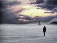 _DSC8595 winter_tonemapped_filtered2 moody 2.jpg