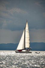 _DSC3281 light on sailboat smaller.jpg