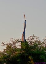 DSC_7601_001.JPG