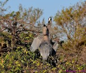 DSC_7648_001.JPG