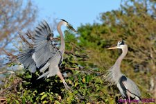 DSC_7669_001.JPG