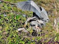 DSC_7675_001.JPG