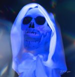 halloween1-1.jpeg