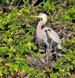 DSC_7723_001.JPG