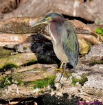 DSC_7753_001.JPG