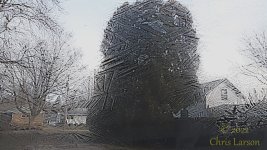Painted by Jack Frost 2022-11-14.jpg