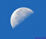 DSC_7793_001.JPG
