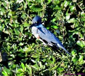 DSC_7851_001.JPG
