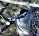 DSC_7895_001.JPG