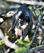 DSC_7900_001.JPG